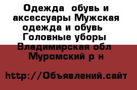 Одежда, обувь и аксессуары Мужская одежда и обувь - Головные уборы. Владимирская обл.,Муромский р-н